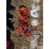 Image 1 : Two very long extension cords orange and a blue short one multi plug.