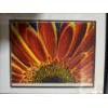 Image 2 :  framed canvas print titled "Color Bursts II" by artist Carolee Vitaletti. 
It features a vibrant, c
