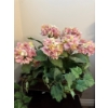 Image 3 : Fake flower bouquet with vase