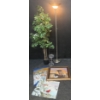 Image 1 : Home Decor Bundle To Light Up You Life  Wall Art, Tall Metal Lamp, Artificial Tree +++ Bonus Toilet 