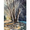 Image 1 : Oil on canvas landscape painting by Dolly Sellars, depicting a forest scene with a rocky stream and 