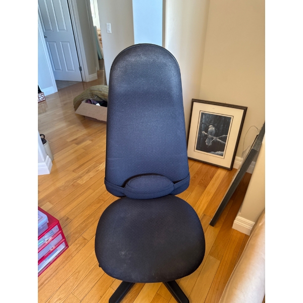 computer chair. Very comfy.