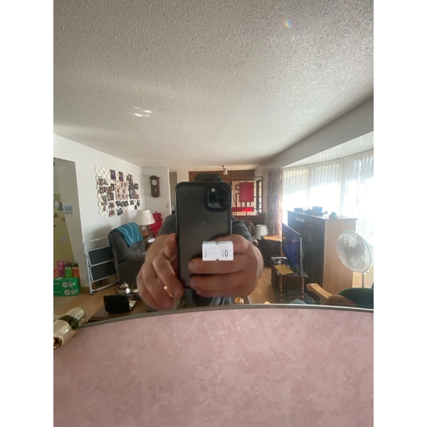  feature mirror 49 1/2 inches long by 32 inches wide