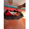 Image 1 : Large Rubbermaid container full of books and linens plus colorful mats included