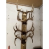 Image 1 : Collection of 4 Mounted Deer Antler Racks – Large Trophy Display

Collection of four deer antler rac