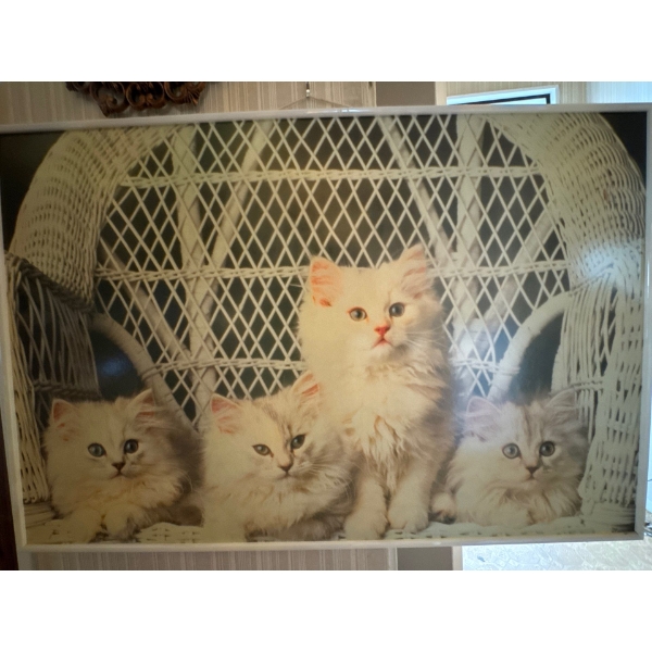 This is a vintage 1997 Starline poster featuring four white kittens sitting on a wicker chair. 
The 