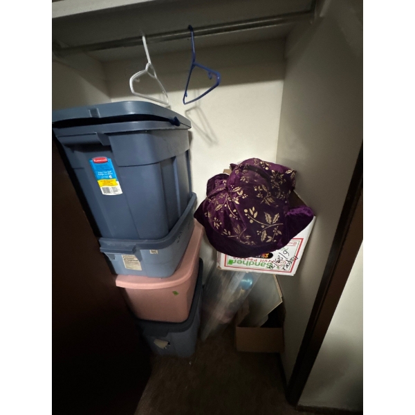  Christmas decore and ordaments