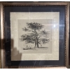 Image 1 : vintage art print titled "Cedar at Enfield", which is likely classified as a collectible piece of fr
