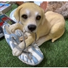 Image 2 : Sally’s place centre and dog park merchandise and decor out of business sale brand new Light bright 