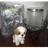 Image 5 : Breadbox, Waffle Maker, Brita Jug, Copper Crisper, Hamilton Beach Mixer & More