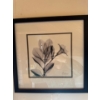 Image 2 : Madella in Black & White" framed art print by artist Albert Koetsier. 