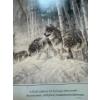 Image 2 : print of the painting "Crystal Forest" by artist Larry Fanning. 
The artwork depicts a pack of wolve