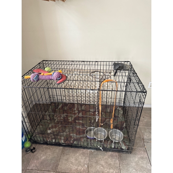  large metal wire dog crate typically used for pet training, containment, or secure transport. 
Desi