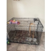 Image 1 :  large metal wire dog crate typically used for pet training, containment, or secure transport. 
Desi