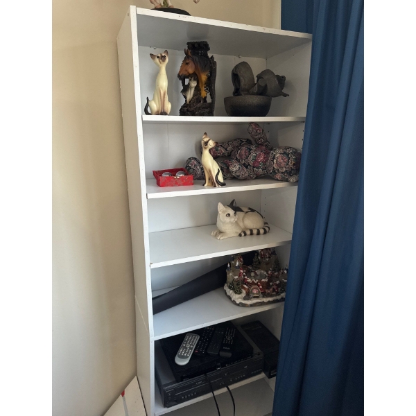 White cabinet, all contents included 25 wide, 11 and a half deep, 71 high.