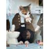 Image 2 : Cat painting with squirrel chaser ball toy for cats, and tarot, peg, and cat reading cards. Tarot ca