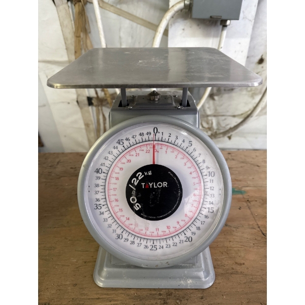 Taylor 50 lbs Or 22Kg Scale  Model#THD50- Temperature Compensated