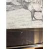 Image 5 :  framed artwork is a limited edition wildlife print titled "Rocky Mountain Elk" by Canadian artist B