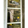 Image 3 : A Portland 6.5 Amp, 9.5 in Electric Pole Saw, features a telescoping fiberglass pole that extends fr