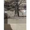 Image 2 : vintage art print titled "Cedar at Enfield", which is likely classified as a collectible piece of fr