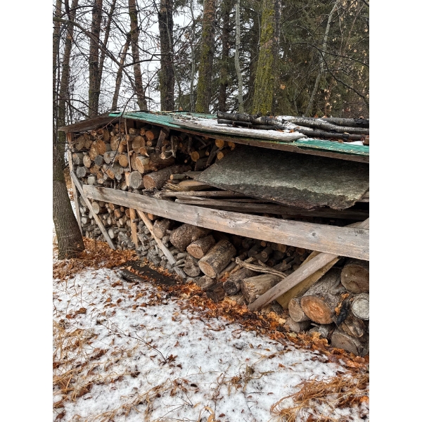 Huge pile of firewood. Very dry, very nice behind Kwanzaa.
