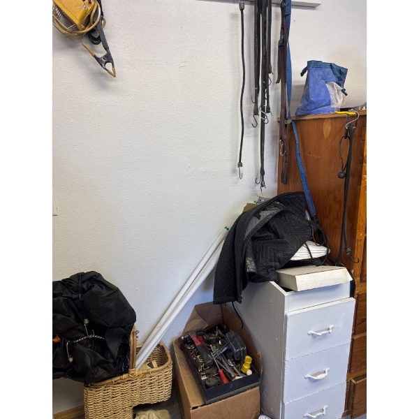All tools in little box, including lamp up in left corner, bungee straps, all contents in white cabi