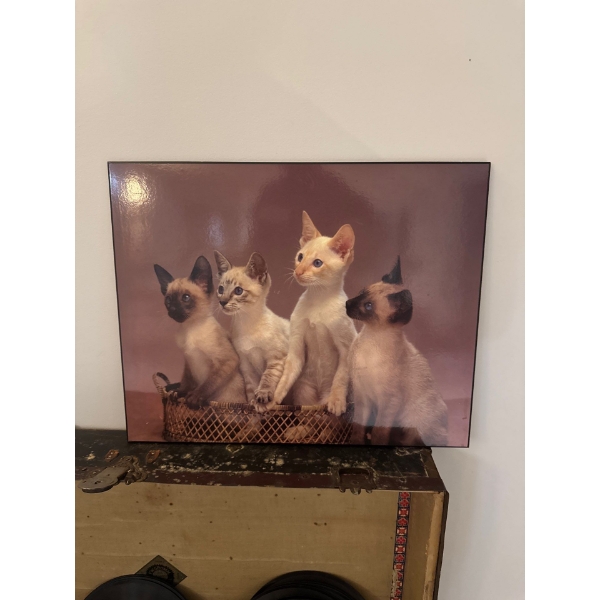  decorative wall plaque featuring a photograph titled "Siamese Kittens". Similar artwork featuring k