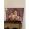 Image 1 :  decorative wall plaque featuring a photograph titled "Siamese Kittens". Similar artwork featuring k