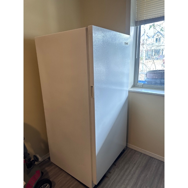 Frigidaire standing deep freeze, 59.5in tall 28in wide and 29in deep, in great working condition
