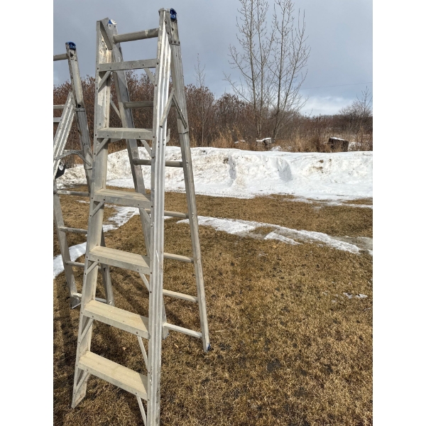12 foot adjustable ladder.