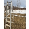 Image 1 : 12 foot adjustable ladder.