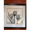 Image 1 : framed wall art print titled "Tulip Trio" by artist Albert Koetsier, who uses an intricate X-ray tec