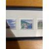 Image 4 : framed collection of four signed watercolor prints by Canadian artist Jin Rong Chen, featuring Nova 