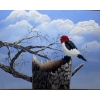 Image 2 : Amateur Artist Paints Birds & Rooster by Barn  Not Framed Detail Orientated Art