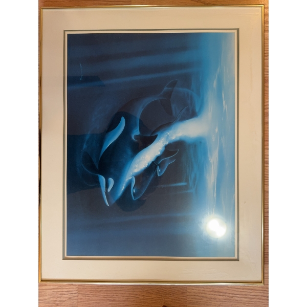 Framed print depicting a group of orca whales swimming underwater. The print uses blue tones and inc