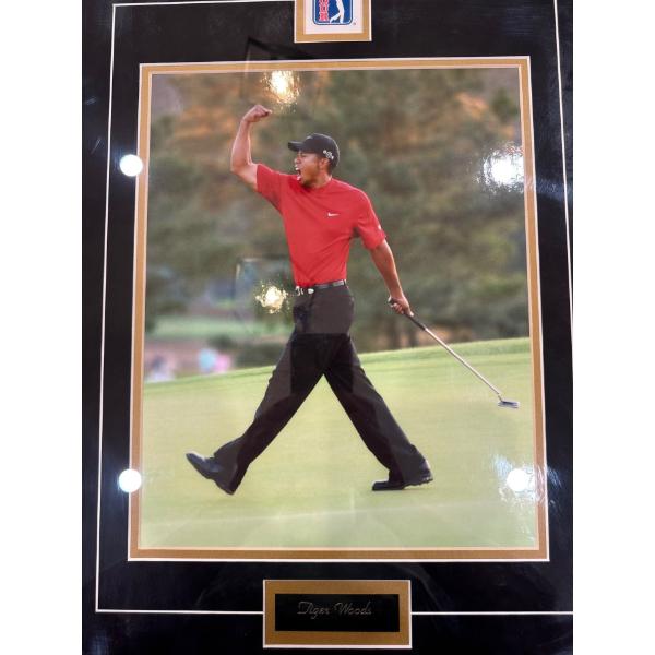 Tiger Woods framed in black wood frame 19 inches by 24 inches.