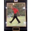 Image 1 : Tiger Woods framed in black wood frame 19 inches by 24 inches.