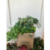 Image 2 :  various artificial plants and floral arrangements in baskets, which are commonly used for seasonal 
