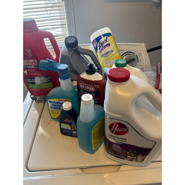 Bottles of  cleaning supplies such as hoover carpet cleaner, lysol wipes, and Bissel