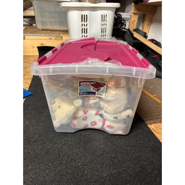 Entire container of TY babies, mini babies, big babies, all of them. Full Tupperware container full.