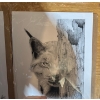 Image 2 : limited edition pen and ink print titled "Lynx" by artist Hap Wilson. 