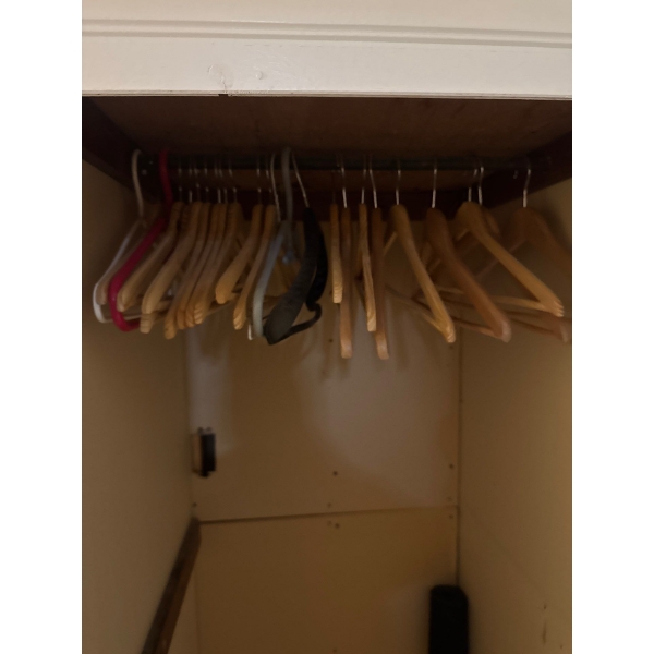 Multiple types of clothing hangers