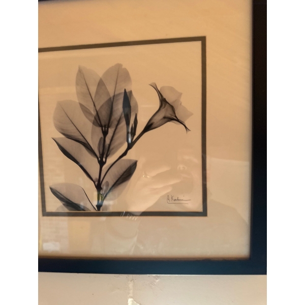 Madella in Black & White" framed art print by artist Albert Koetsier. 