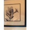 Image 1 : Madella in Black & White" framed art print by artist Albert Koetsier. 