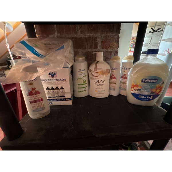 All contents on third shelf, Dove Revival Ritual Conditioner, Hydrogen Peroxide, Dove Nourishing Rit
