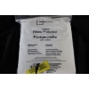 Image 1 : QUEEN Cotton Pillow Protector