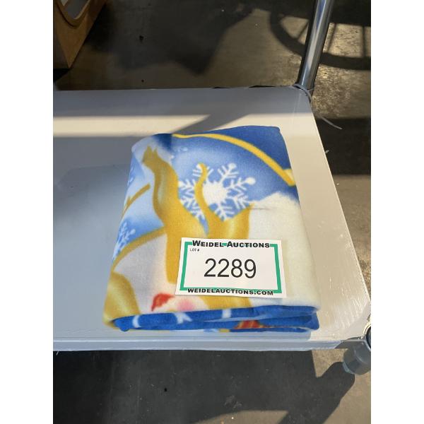Princess Fleece Blanket