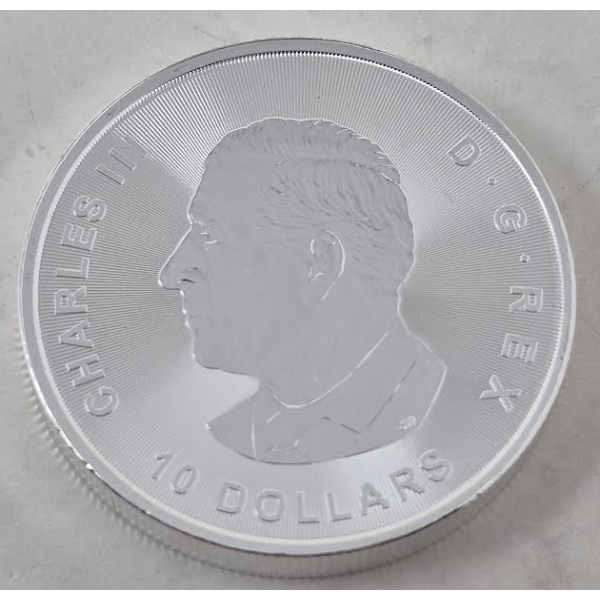 2 Oz .9999 Silver 2025 Bear vs Bull Coin 