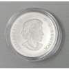 Image 2 : .9999 Silver 2014 Polar Bear $50 Coin 