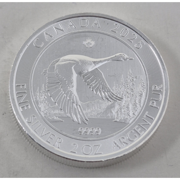 2 Oz .9999 Silver 2025 Canada Goose Coin 